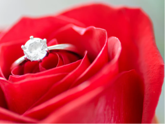 {"loading" => "lazy", "sizes" => nil, "widths" => "165, 360, 535, 750, 1070, 1500"}